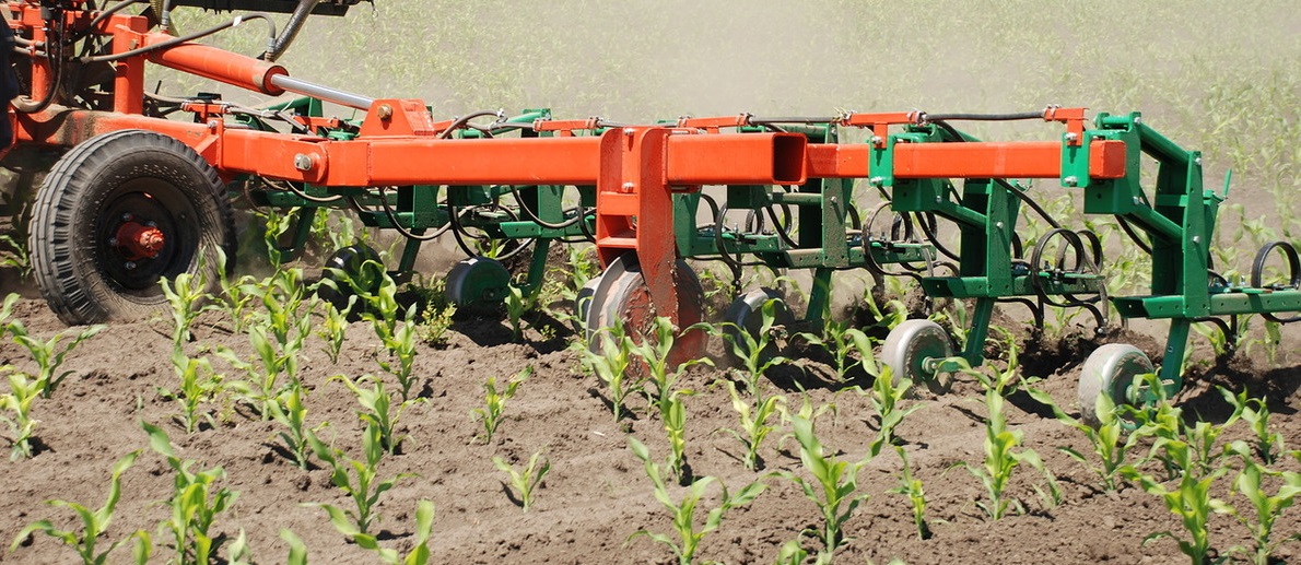междурядная культивация