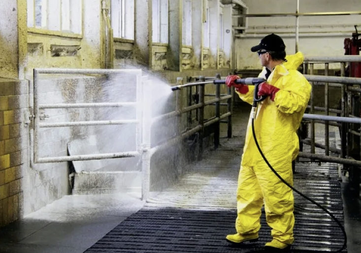 побелка коровников профессиональная